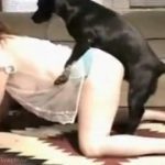 Dona de casa dando rabo para o cachorro